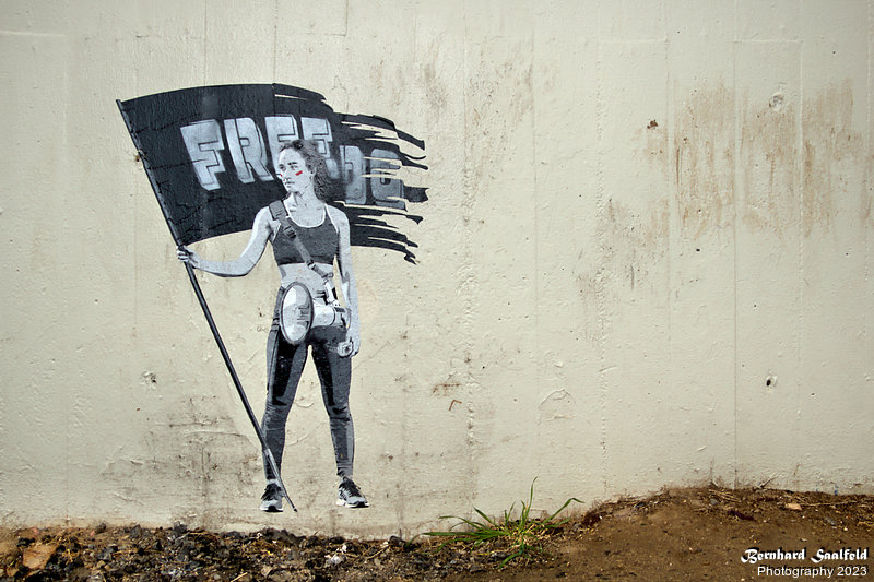 Bernhard Saalfeld - Freedom Fighter